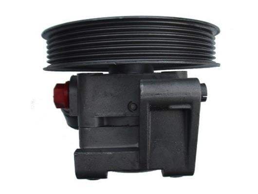 Pompe de direction assistée (Servo direction) GKN ref. 54167