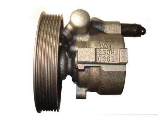 Pompe de direction assistée (Servo direction) GKN 54172