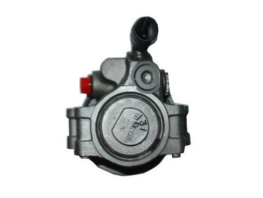 Bomba de direção assistida GKN 54188