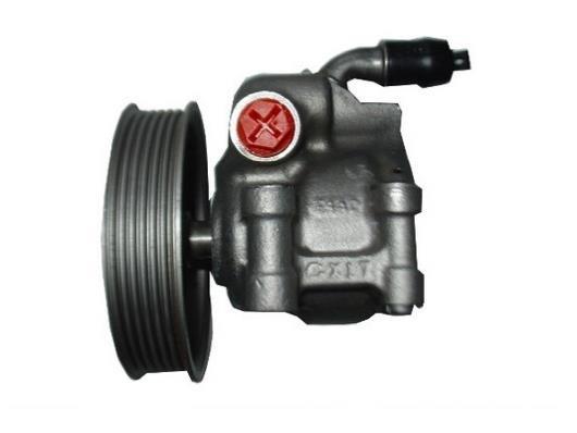 Bomba de direção assistida GKN 54188