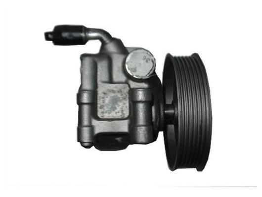Bomba de direção assistida GKN 54188