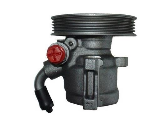 Pompe de direction assistée (Servo direction) GKN ref. 54195