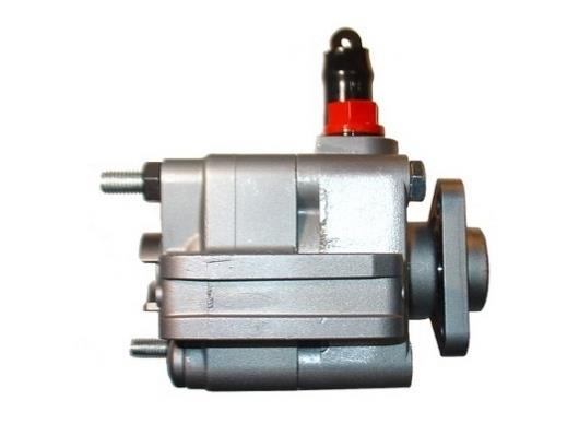 Pompe de direction assistée (Servo direction) GKN 54216