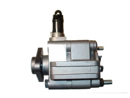 Pompe de direction assistée (Servo direction) GKN 54216