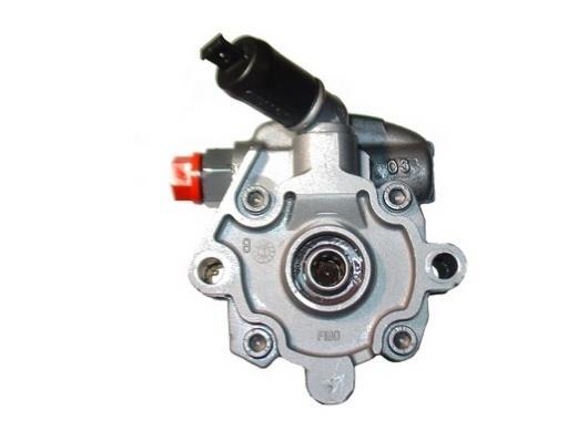 Pompe de direction assistée (Servo direction) GKN 54219