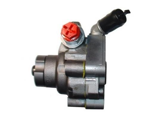 Pompe de direction assistée (Servo direction) GKN 54219