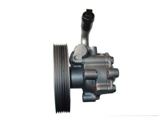 Pompe de direction assistée (Servo direction) GKN ref. 54224