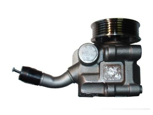 Pompe de direction assistée (Servo direction) GKN ref. 54253