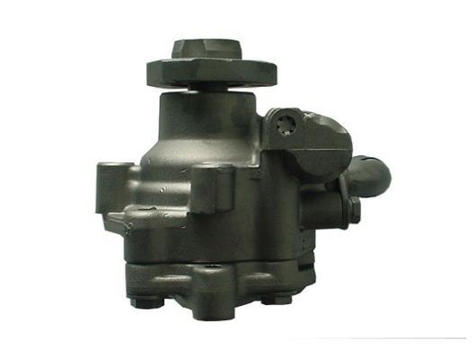 Pompe de direction assistée (Servo direction) GKN 54275