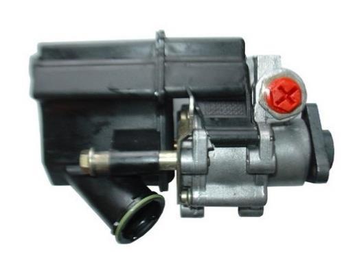 Bomba de direção assistida GKN ref. 54280