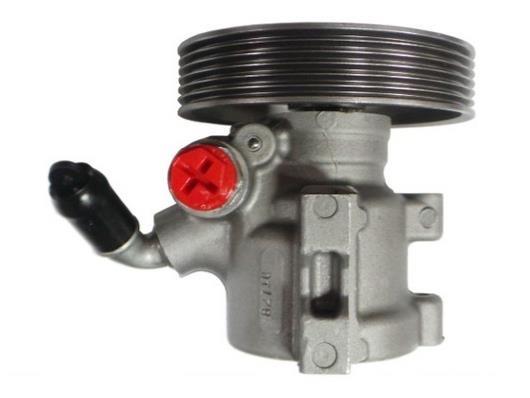 Pompe de direction assistée (Servo direction) GKN 54281