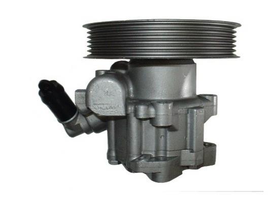 Pompe de direction assistée (Servo direction) GKN 54285