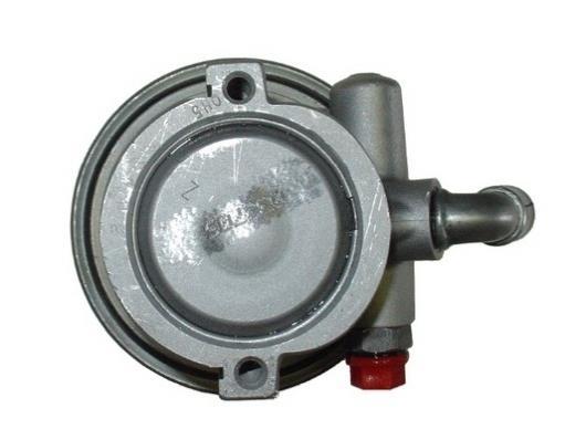 Pompe de direction assistée (Servo direction) GKN 54295