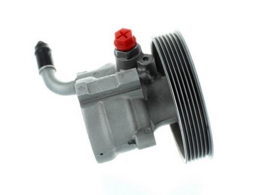 Pompe de direction assistée (Servo direction) GKN 54299