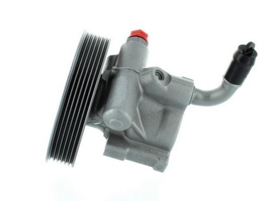 Pompe de direction assistée (Servo direction) GKN 54299