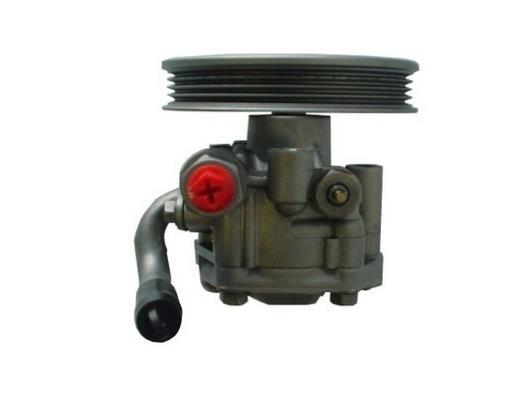 Bomba de direção assistida GKN 54306