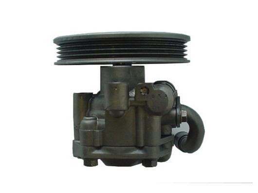 Bomba de direção assistida GKN 54306