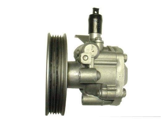 Pompe de direction assistée (Servo direction) GKN ref. 54307