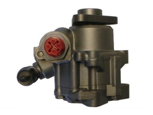 Pompe de direction assistée (Servo direction) GKN 54312