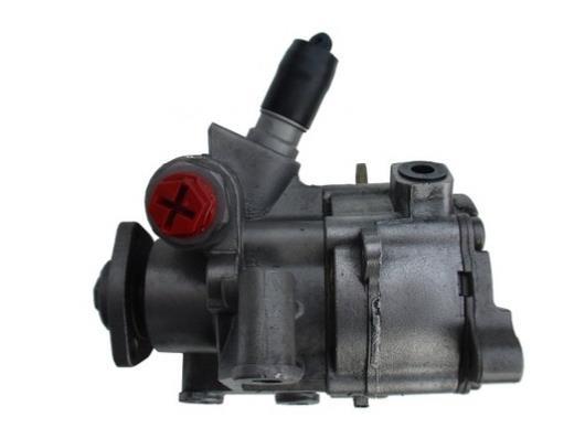 Pompe de direction assistée (Servo direction) GKN 54315