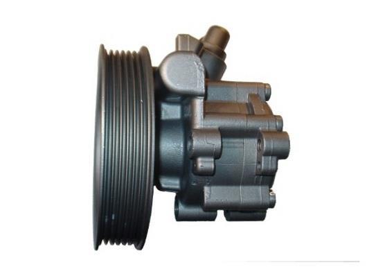 Pompe de direction assistée (Servo direction) GKN ref. 54320