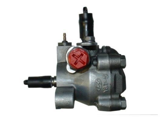 Pompe de direction assistée (Servo direction) GKN ref. 54321