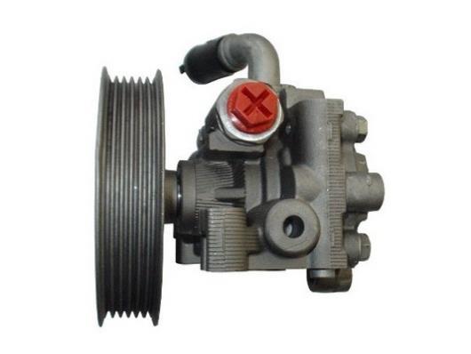 Pompe de direction assistée (Servo direction) GKN 54323