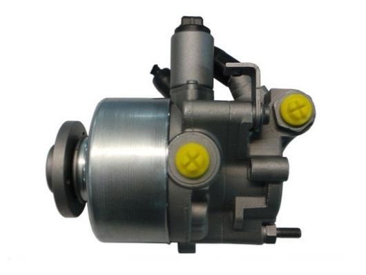Pompe de direction assistée (Servo direction) GKN 54336