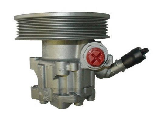 Pompe de direction assistée (Servo direction) GKN 54356