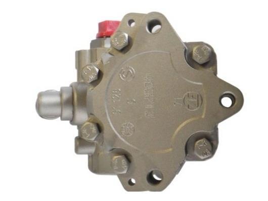 Bomba de direção assistida GKN 54359