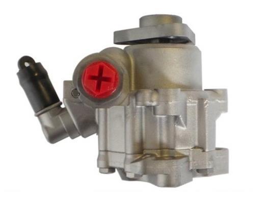 Bomba de direção assistida GKN 54359