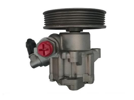 Pompe de direction assistée (Servo direction) GKN 54361