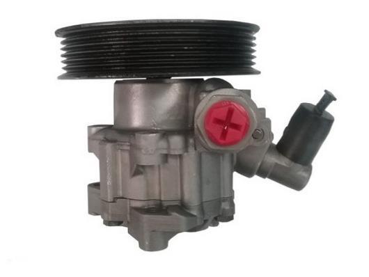 Pompe de direction assistée (Servo direction) GKN 54366