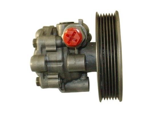 Pompe de direction assistée (Servo direction) GKN 54380