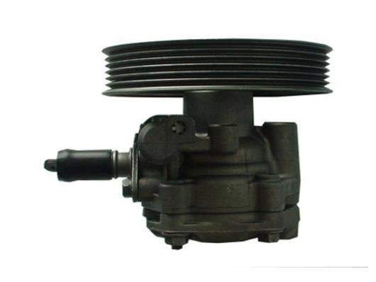 Pompe de direction assistée (Servo direction) GKN 54381