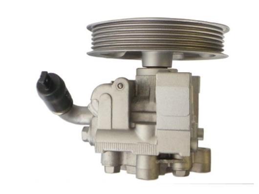 Pompe de direction assistée (Servo direction) GKN 54383
