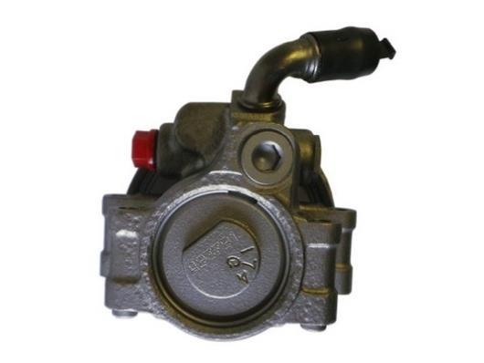 Pompe de direction assistée (Servo direction) GKN 54384