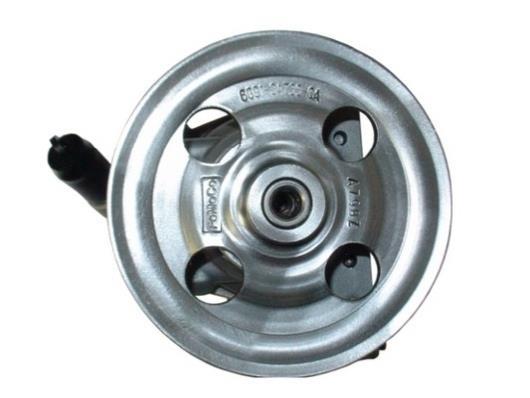 Pompe de direction assistée GKN 54389