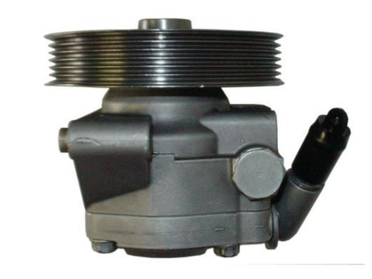 Pompe de direction assistée (Servo direction) GKN 54389