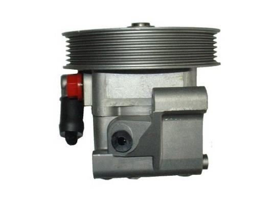 Pompe de direction assistée (Servo direction) GKN 54391