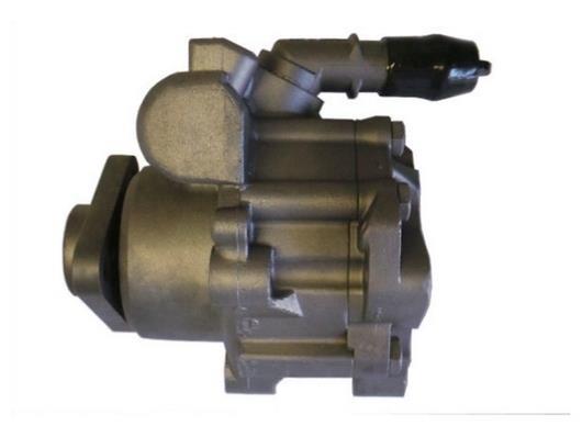 Pompe de direction assistée (Servo direction) GKN 54396