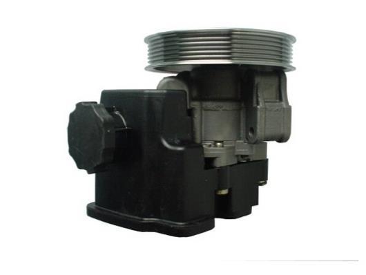 Pompe de direction assistée (Servo direction) GKN 54399