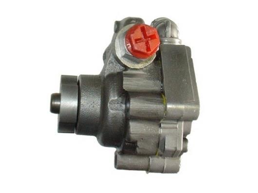 Pompe de direction assistée (Servo direction) GKN 54404