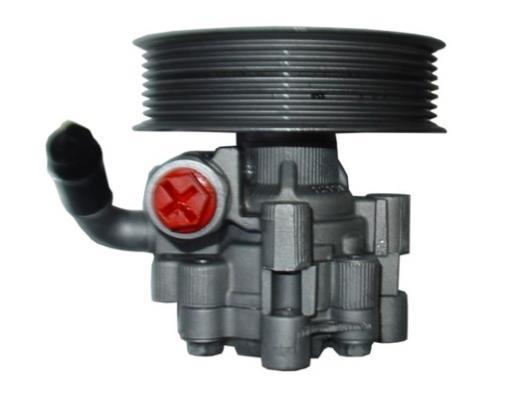 Pompe de direction assistée (Servo direction) GKN 54405