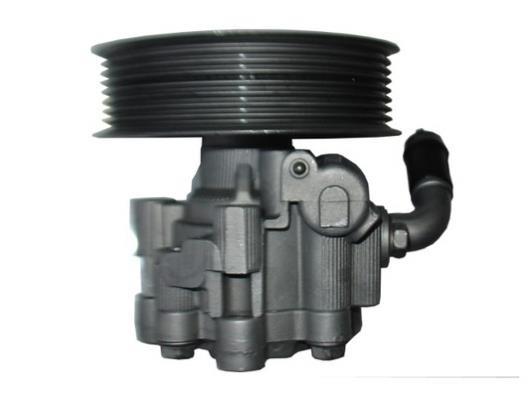 Pompe de direction assistée (Servo direction) GKN 54405
