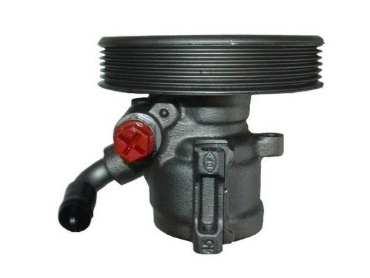 Pompe de direction assistée (Servo direction) GKN ref. 54410