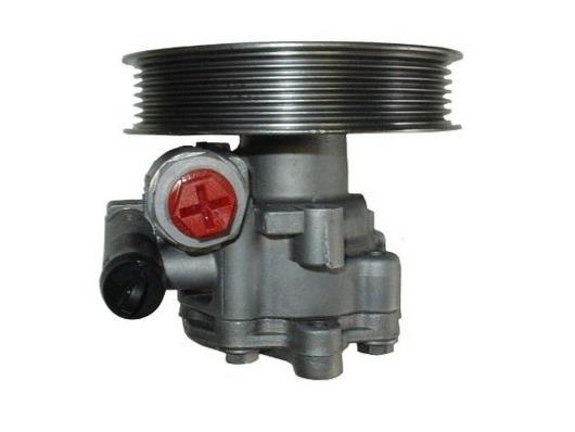 Pompe de direction assistée (Servo direction) GKN 54418