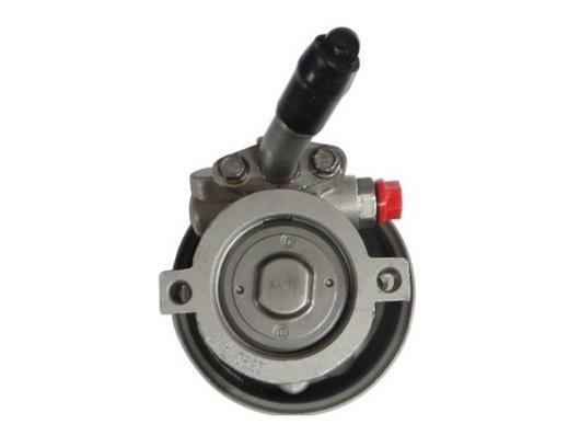 Pompe de direction assistée (Servo direction) GKN 54419