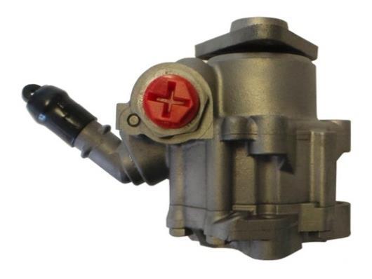 Bomba de direção assistida GKN 54421