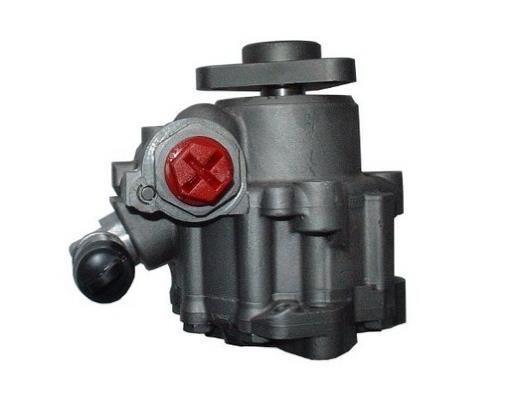 Pompe de direction assistée (Servo direction) GKN 54426